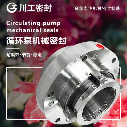 机械密封C131110ZWXIIEMZ-600-B1-650多效蒸发强制循环泵机封