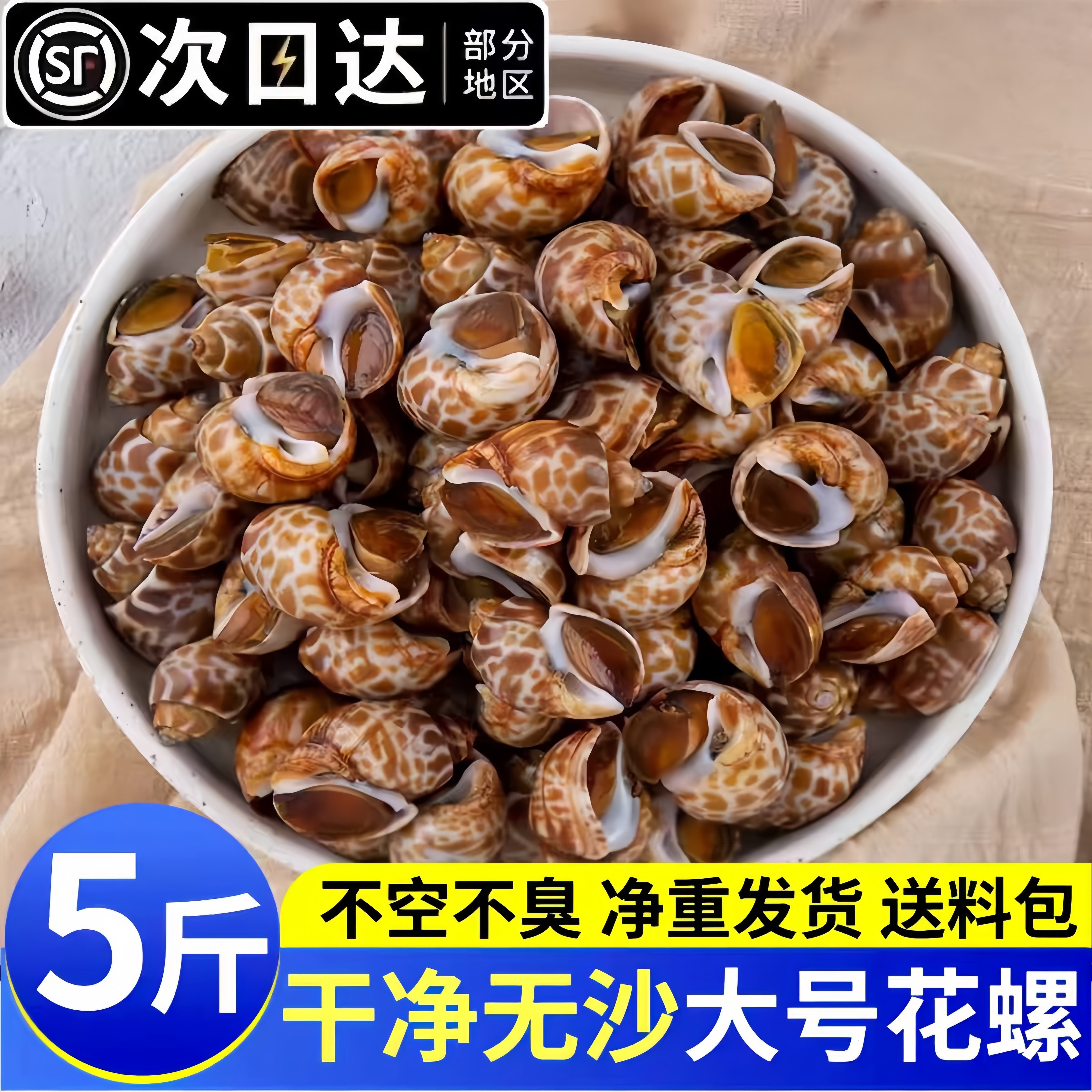 干净无沙大号花螺商用批发