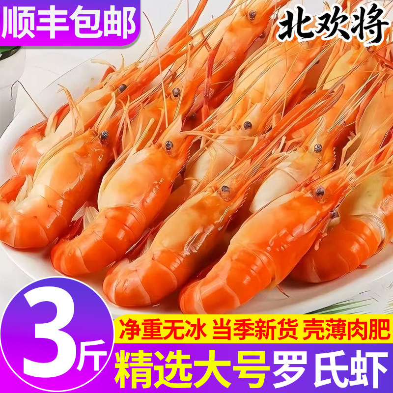 特大罗氏虾无冰净重熟冻罗氏沼虾图片