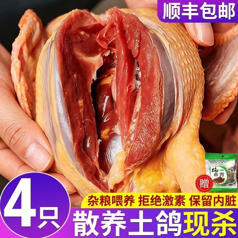 正宗农家散养老鸽4只装9两-8.1两
