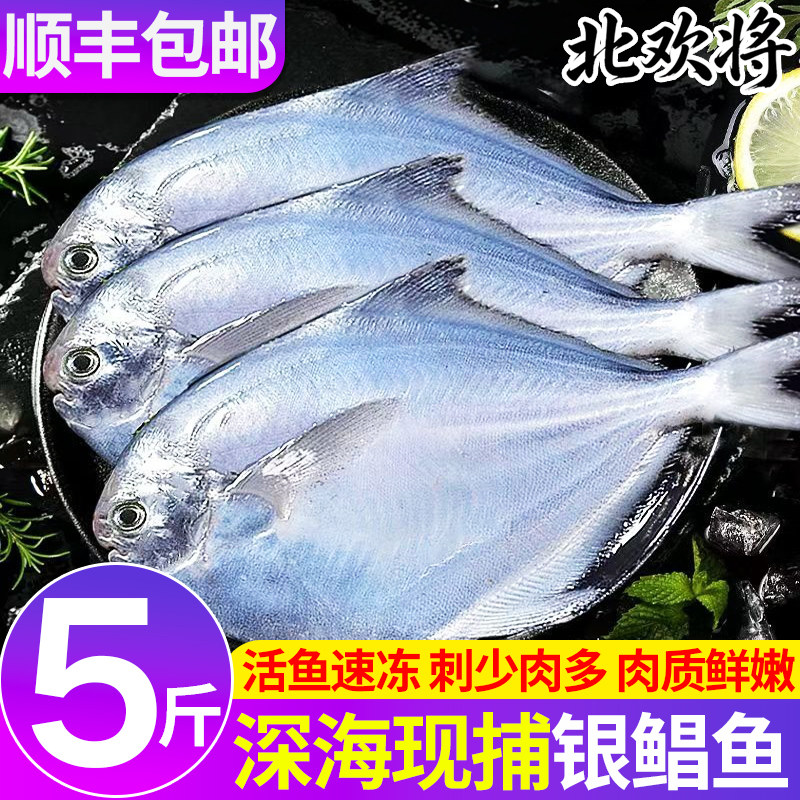 野生银鲳鱼白鲳鱼冷冻海鲜水产