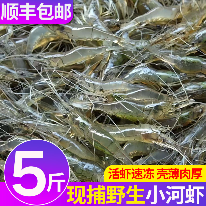 新鲜小河虾鲜活速冻淡水虾白虾明虾对虾小虾水产品商用整箱批发