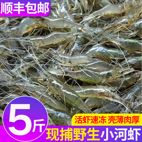 新鲜小河虾鲜活速冻淡水虾白虾明虾对虾小虾水产品商用整箱批发