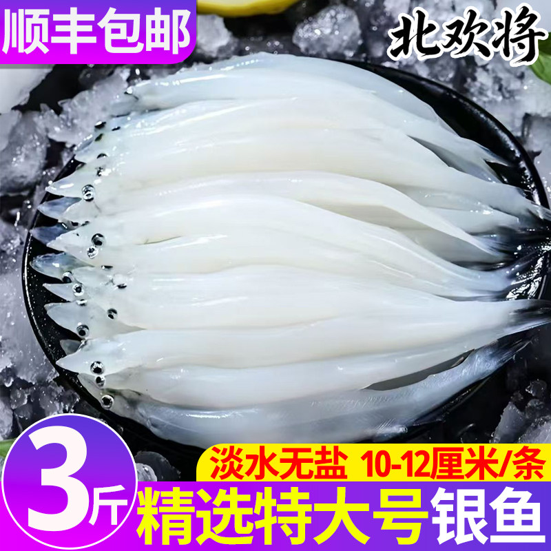 3斤特大号银鱼宝宝辅食