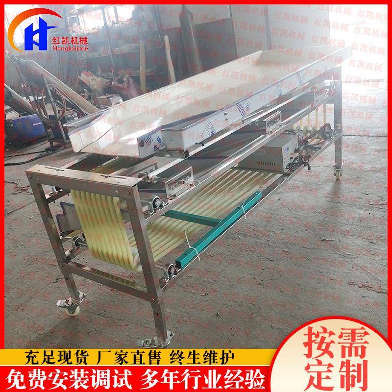 蓝莓选果机分选机不掉粉红凯轨道式果蔬分级机轨道式分级机