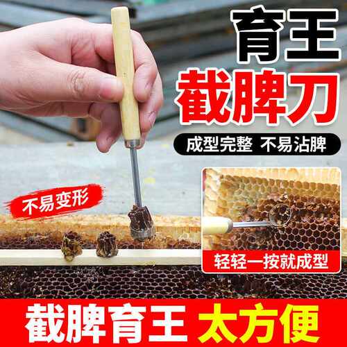 育王截脾刀中蜂免移虫育王器育蜂造王台幼虫取脾刀蜂窝清洁刮刀