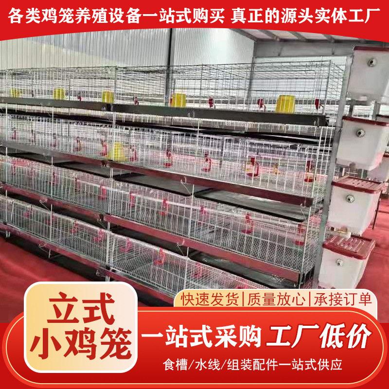 立式小鸡育雏笼养殖笼雏鸡笼加密鸡苗育雏笼鸡繁殖笼蛋4层小鸡笼