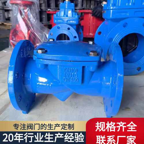 定做 H44X橡胶瓣法兰止回阀 单向逆止阀 球墨铸铁止回阀