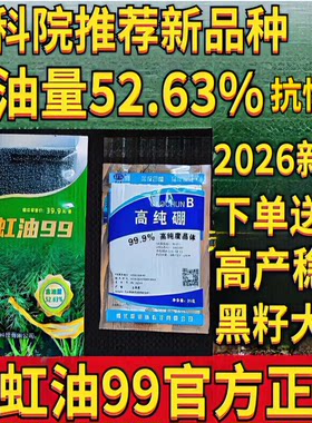 长虹油99高产杂交油菜种子抗病矮杆抗倒伏双低健康油菜籽四川油菜