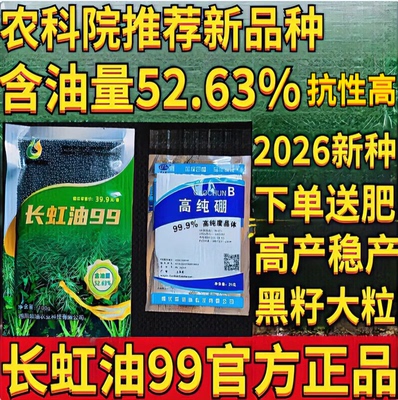 长虹油99高产杂交油菜种子抗病矮杆抗倒伏双低健康油菜籽四川油菜