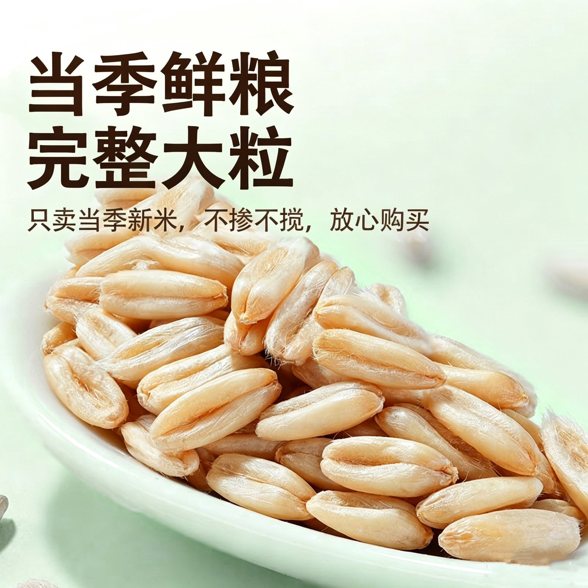 粗粮燕麦米新米胚芽燕麦米全胚芽燕麦米新鲜燕麦米裸燕麦米一斤