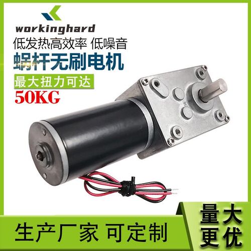 A5840-31ZY蜗杆减速电机大扭矩机器人带自锁减速4058GW31微型马达