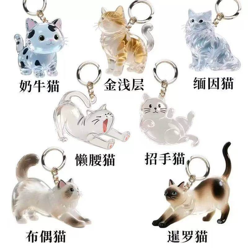 猫咪毛发收纳胶囊纪念钥匙扣