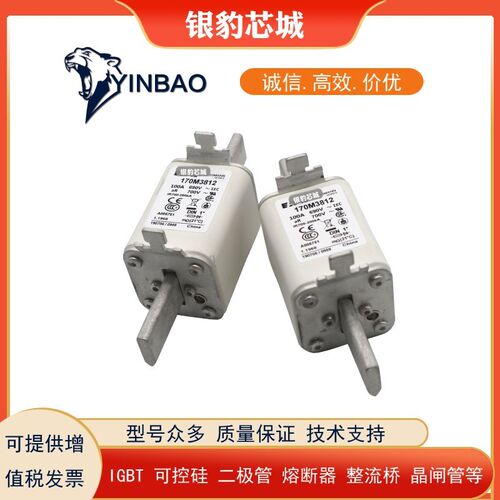 巴斯曼170M/1367k/1368/1369/1370 /1569/1570/1571熔断器 保险丝