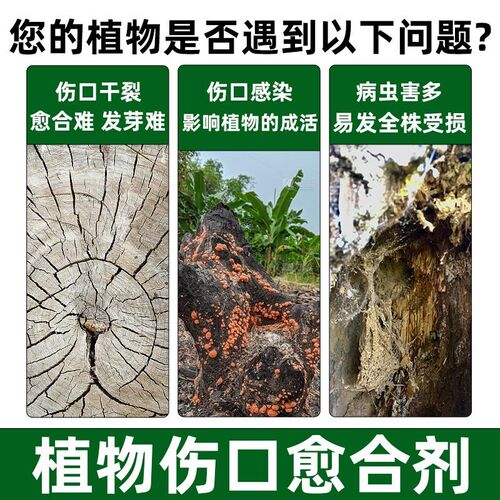 树木伤口愈合剂植物修复涂抹膏果树盆景树枝剪枝树桩树皮嫁接切口