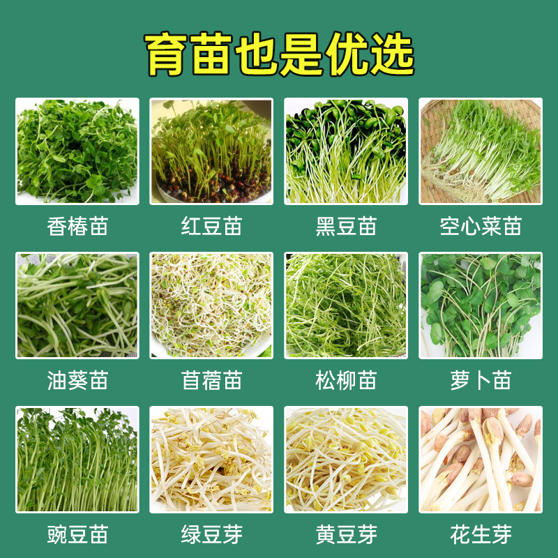 豆芽发芽盆芽苗菜育苗菜盆豆苗种植无土栽培设备水培蔬菜芽菜小麦