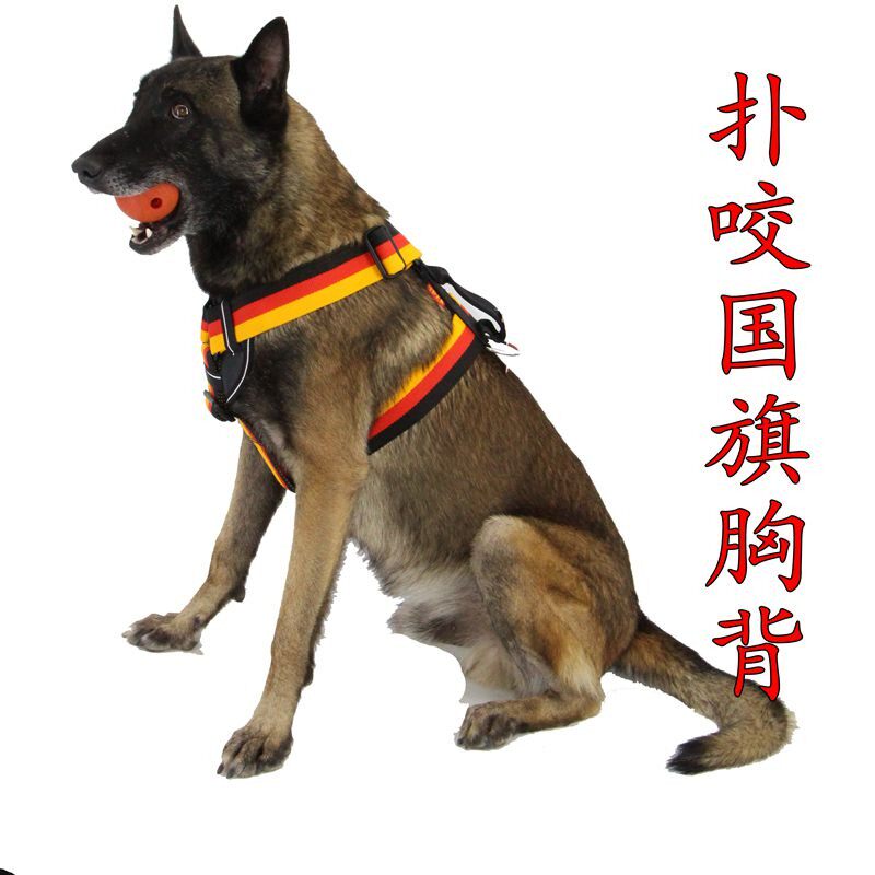 狗套装胸背金毛德牧马犬工作犬扑咬胸背带牵引绳k9中大型犬遛狗防