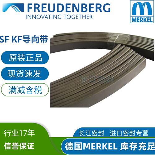 德国MERKEL导向环KFb 5.6-5.5/30-27  32-29-5.6-5.5 9.7-2.5