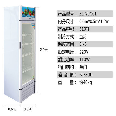 保鲜柜冷藏展示柜冰柜商用大容量双门饮料柜三门开冰箱立式冷柜