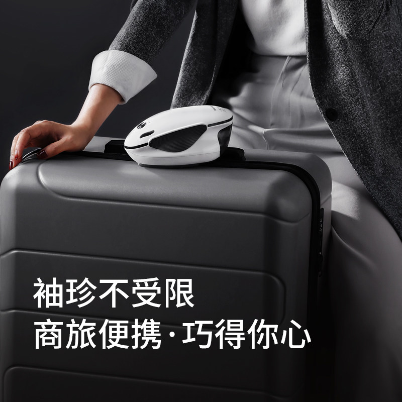 大宇手持挂烫机HI-022鼠标蒸汽电熨斗家用小型挂烫机便携迷你旅行