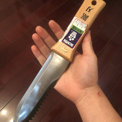 日本进口HORI多功能苗圃修剪刀花园园艺工具刀芽接刀不锈钢农用刀
