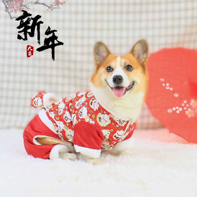 宠物狗狗秋冬款衣服新年过年喜庆保暖裙子2025新款冬柯基冬季冬天