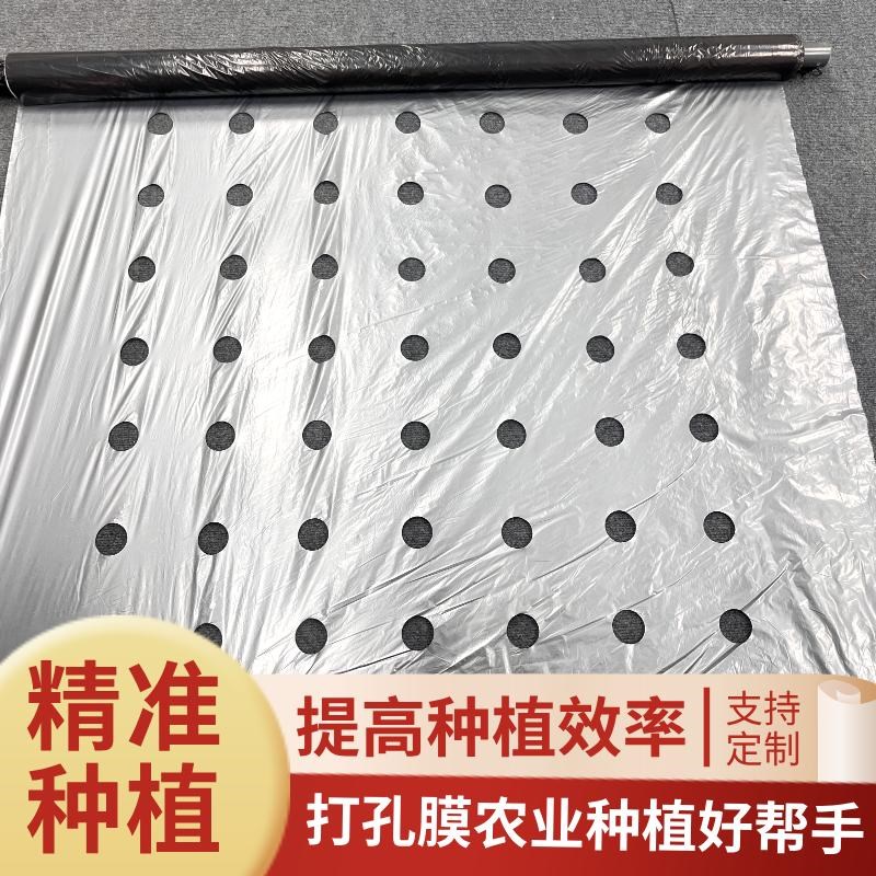 可定制打孔地膜银黑双色地膜辣椒专用膜番茄蔬菜除草保温反光薄膜