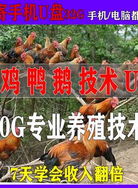 养鸡养鸭养鹅技术U盘视频教程农村创业家禽肉鸡产蛋接种自学优盘