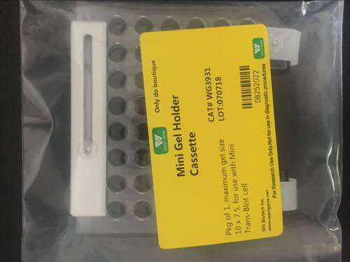 电泳转印夹(转膜夹)WG3931