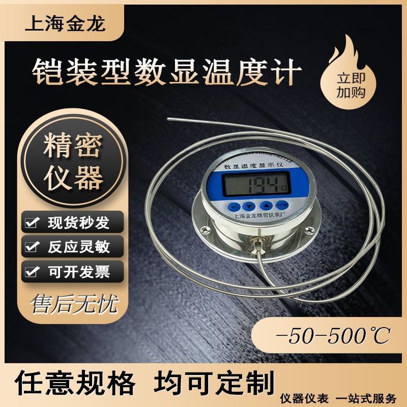 铠装型数显温度计WST491不锈钢丝高精度表耐腐蒸煮熬糖汤药测油温