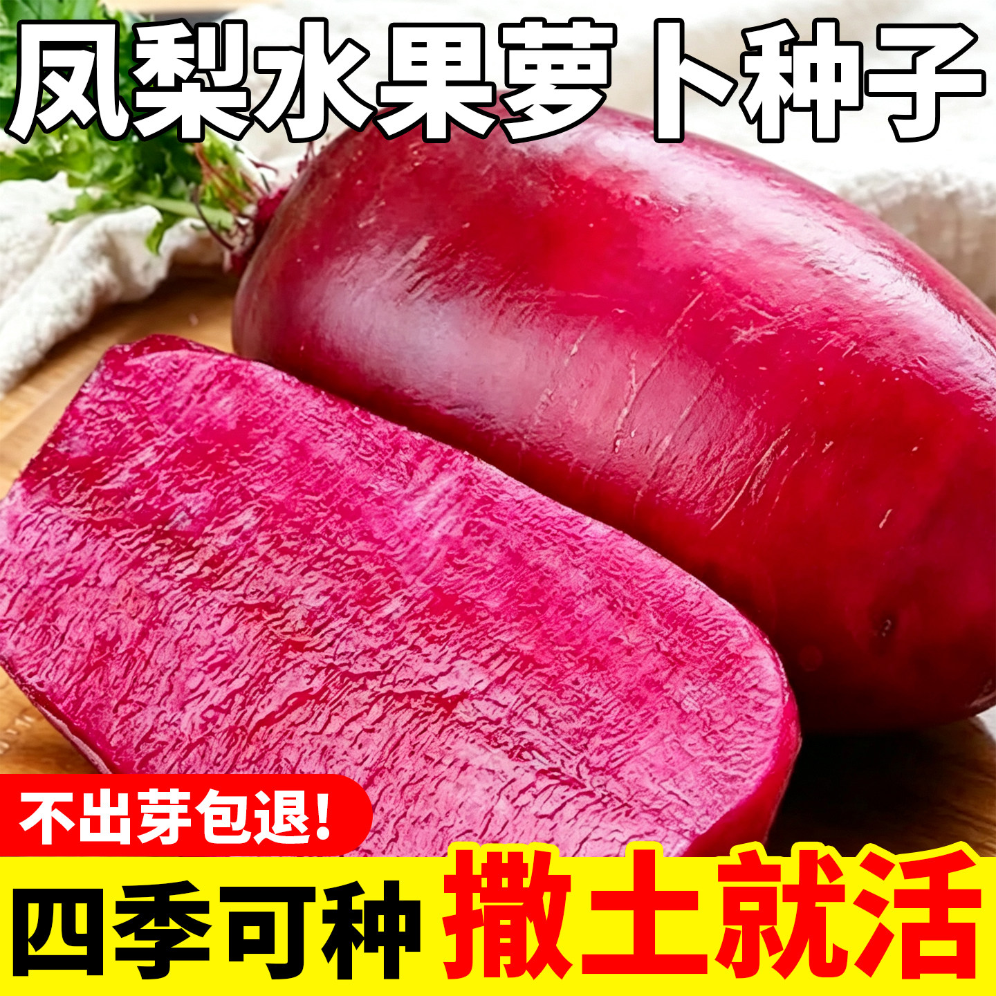凤梨水果萝卜种籽大全红皮红心萝卜种子四季可种阳台庭院盆栽种子