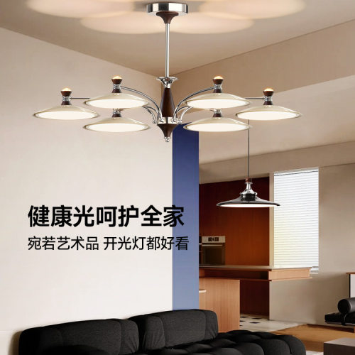 法式中古风客厅主灯复古超亮