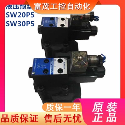 注塑机预塑阀SW20P5/AG24Z4 SW30P5/W220 DYJ20/AG24Z4
