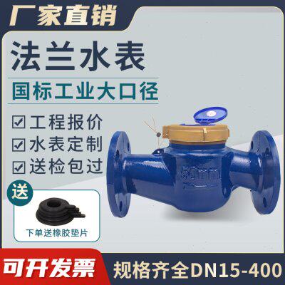 国标法兰水表DN50/80 机械水平螺翼式 水电工业大口径水表2寸/4寸