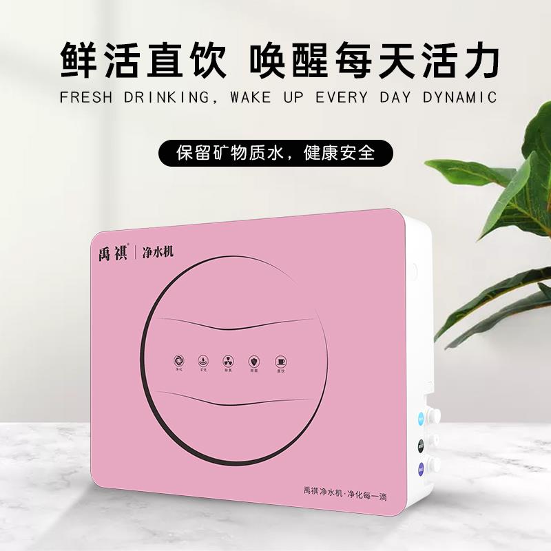 禹祺净水优器芯 韩式快接滤芯 机质F活性炭滤芯 厨房净水滤滤芯