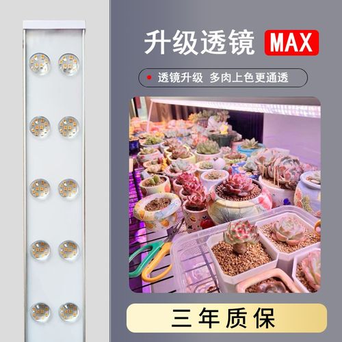 正阳多肉聚光通透自然家用上色防徒长全光谱植物补光灯室内带支架