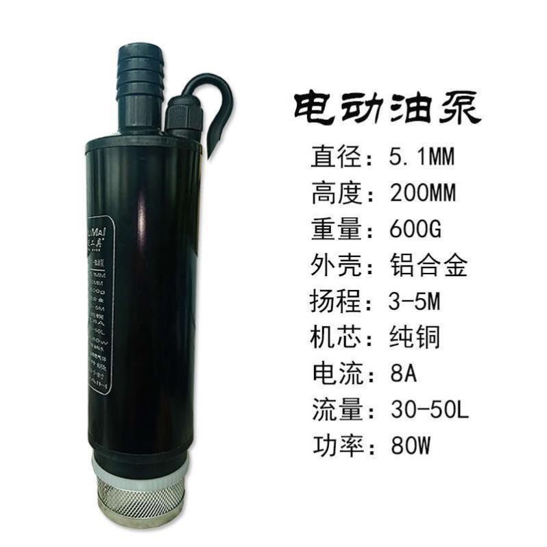 电动柴油尿素抽油泵加油机12v24v48v220伏大功率吸油泵煤油自吸泵