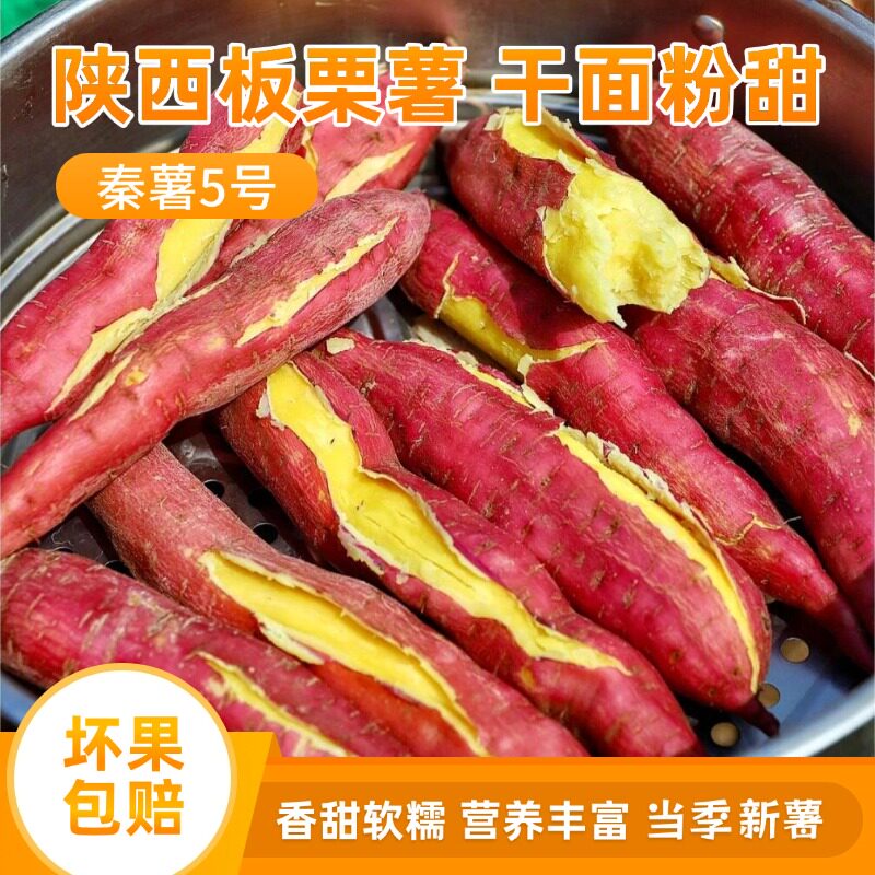 秦薯5号板栗红薯陕西农家自种