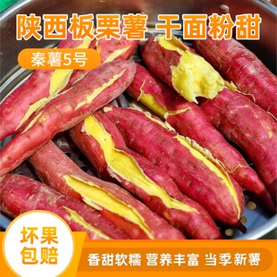 陕西板栗薯正宗秦5粉面红薯新鲜沙地红苕农家自种地瓜番薯山芋
