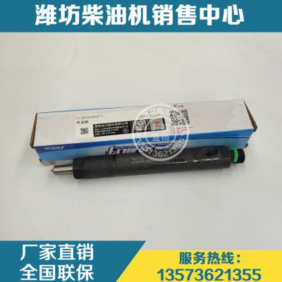 原装喷油器总成油嘴612600080311油头潍柴动力WD618船用P12柴油机