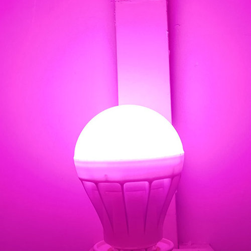 E27螺口LED粉红灯泡 卧室浪漫小夜灯 足浴酒店补光灯5W7W9W