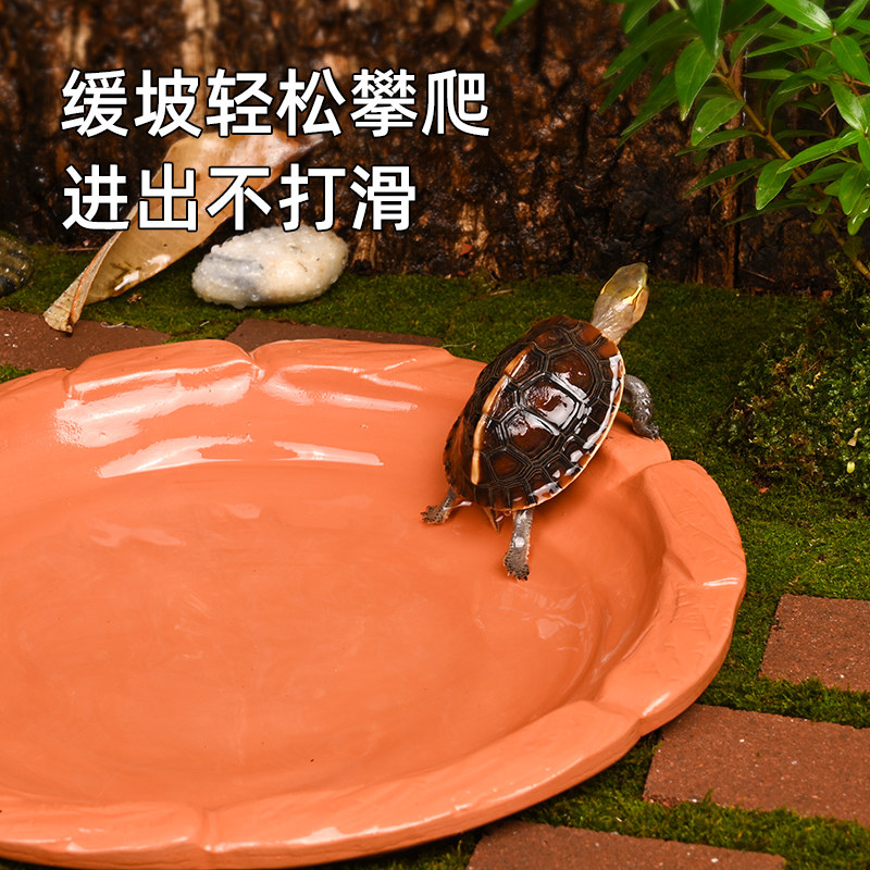 黄缘龟专用泡澡盆安缘半水龟陶瓷盘养乌龟水盆生态造景养殖箱用品