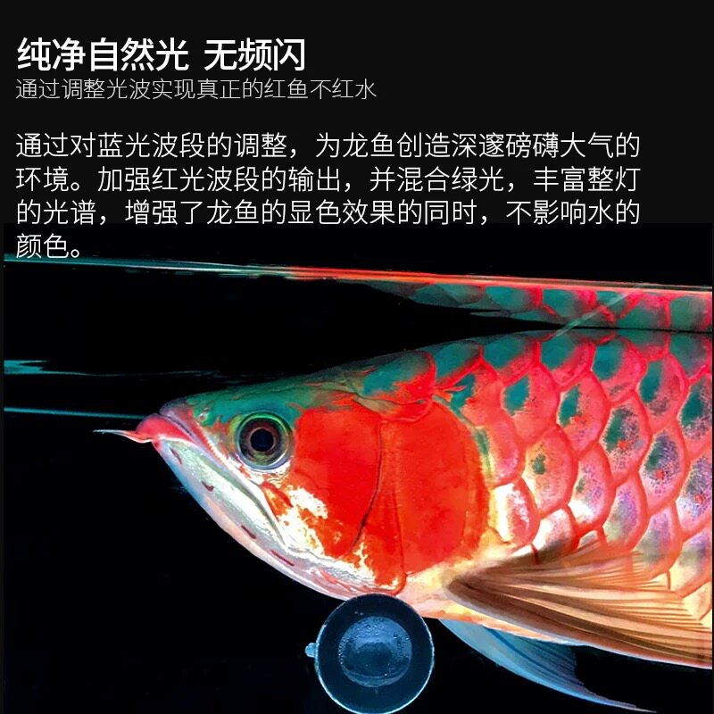马印神灯三基色鱼缸灯适用于龙鱼红鱼增艳增色不红水LED灯
