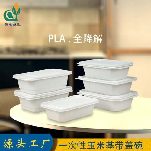 一次性PLA加厚外卖餐盒整箱