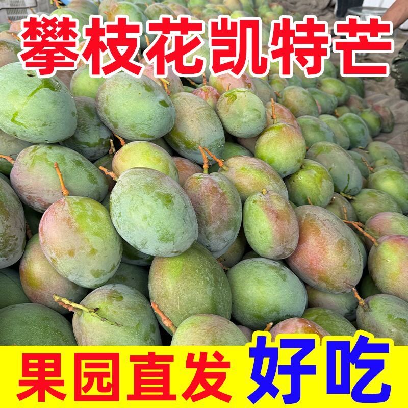 果农直销价超大凯特芒果