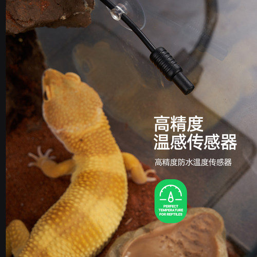 玩酷wacool爬宠智能温控器恒温控制加热灯乌龟晒背灯角蛙加热垫灯