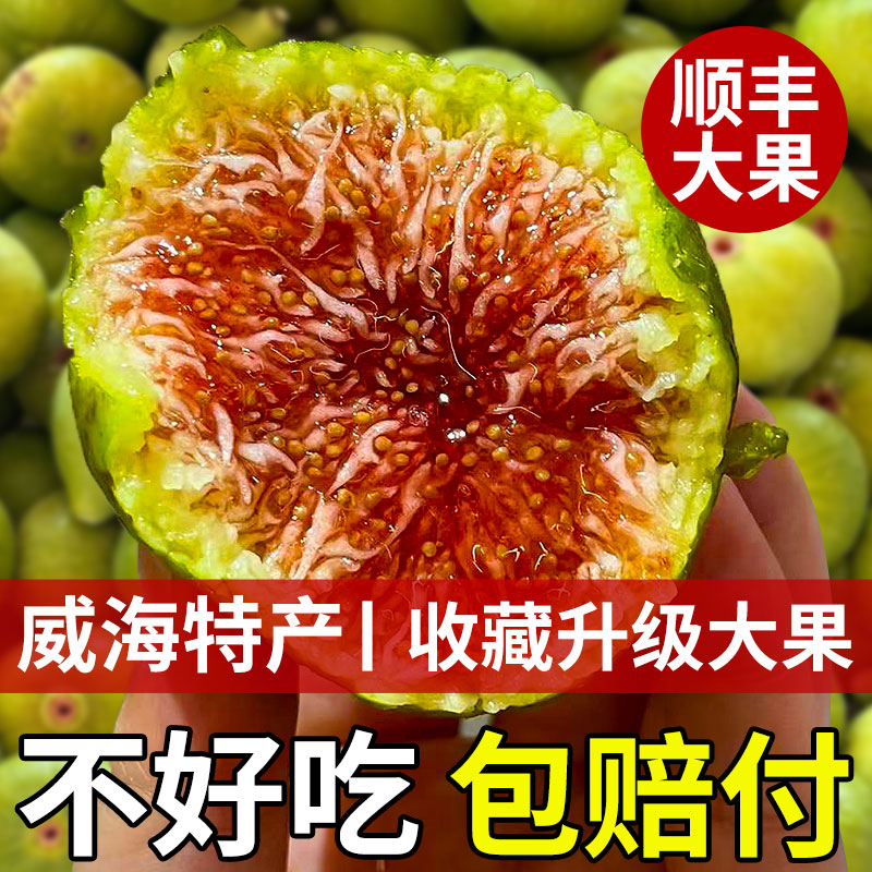 鲜无花果新鲜现摘青皮无花果鲜果应季水果当季顺丰包邮产自山东