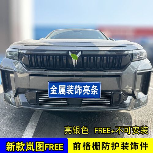 岚图FREE前脸保险杠格栅改装中网外观防护防虫网装饰亮条用品配件