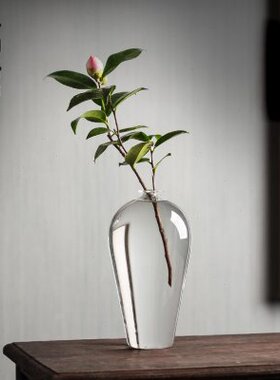 透明玻璃花瓶插花水养梅瓶禅意水晶摆件家居客厅甘露日式水培花器