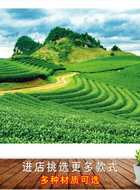 茶园自然风景画采茶园茶山图绿色田园风光茶叶茶馆装饰画墙贴画